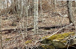 105 Thistle Lane, Beech Mountain, NC 28604