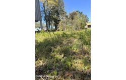Jackson Avenue, Pascagoula, MS 39567