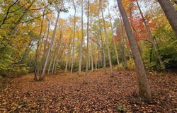 0 Cara Way, Cosby, TN 37722