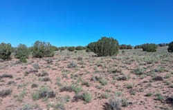 SW236 N9233, Concho, AZ 85924