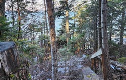 24699 MT Highway 35, Bigfork, MT 59911