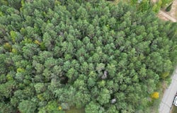 5455 Chaison Road, Gladstone, MI 49837