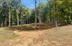 1033 Strike King Dr (Lot 195), Cedar Grove, TN 38321
