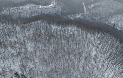 3592 Perry Ridge Rd, Dunlow, WV 25511