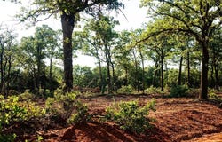 0003 S Post Road, Guthrie, OK 73044