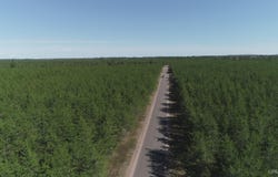 Parcel 3 Rice Lake, Gwinn, MI 49841