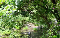 4657 Lower Grave Creek Road, Wolf Creek, OR 97497