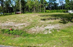 Tbd SW 9TH STREET, WILLISTON, FL 32696