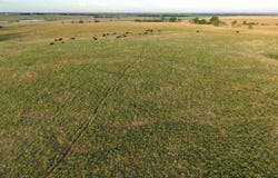Solomon Rd, Gypsum, KS 67448