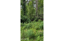 320 SYLVAN DELL PARK ROAD, S. Williamsport, PA 17702