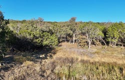 Lot 187 Wooded Acres Dr Drive, Mineral Wells, TX 76067
