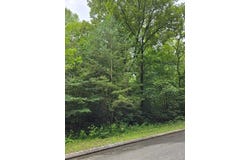 Lower Brow Road lot: 135, Dunlap, TN 37327