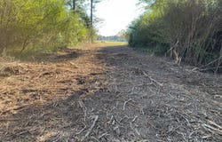 3114 Chapel Hill Rd, RUTLEDGE, AL 36071