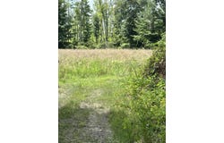 Flach Road, Vicksburg, MI 49097