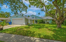 2533 BLOSSOM LAKE DRIVE, HOLIDAY, FL 34691