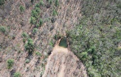 457 Youngblood Drive, Blairsville, GA 30512