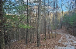 120 Greystone Way, Townsend, TN 37882