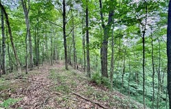 Noble Hill Rd, Pleasant City, OH 43772