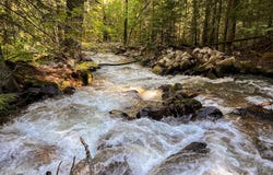 294 Rincon Dr, Sandpoint, ID 83864