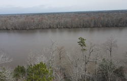 River Bluff Drive lot: 12, Winton, NC 27986