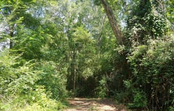 402 Poplar, Hogansville, GA 30230