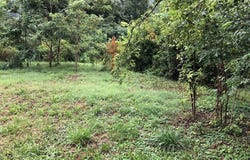 HANING Drive, Poca, WV 25159