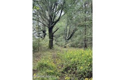Swamp Road lot: A,E, Carthage, MS 39051