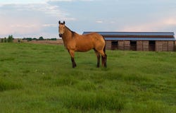 19351 County Rd 110, Perry, OK 73077
