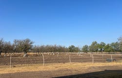 Silver Bridge Road, Quemado, TX 78877