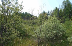 15893 State Hwy M-35, Rock, MI 49880