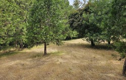 5274 Cloverlawn Drive, Grants Pass, OR 97527