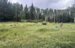 Copper Creek Estates, NM 87558