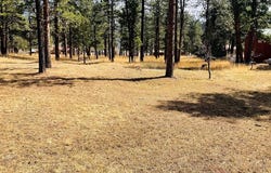 Stonewall, CO 81091