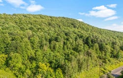 L31.1 County Rd 32, Norwich, NY 13815