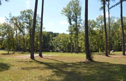 670 Goat Hill Road, Ridgeway, SC 29130