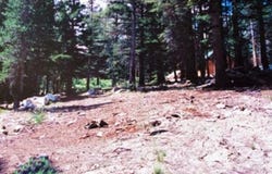90 Pinecrest Drive, Virginia Lakes, CA 93517