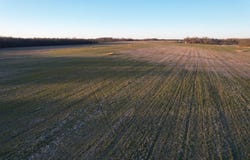 000 Buffalo Rd, Omaha, IL 62871