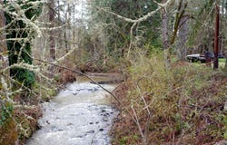 13756 BUCKHORN RD, Glide, OR 97443