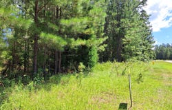0 Shoreline, Kingsland, GA 31548