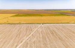 293 FM, Panhandle, TX 79068