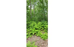 Tbd Everready Road, Pokegama Twp, MN 55063