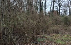 BELL (TOTAL OF FIVE (5) LOTS) ROAD, LANHAM, MD 20706