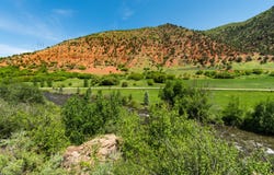 54 Spruce Road, Basalt, CO 81621