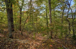 Murphy Drive lot: 13,14, & 15, Bella Vista, AR 72715