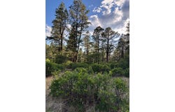 Eagles 2A, Chama, NM 87520