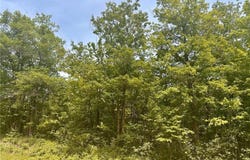 Tbd County Road 157 NE, Remer, MN 56672