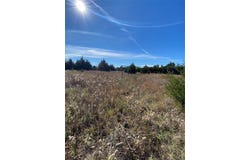 1604 CR 3365, Ladonia, TX 75449