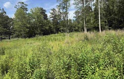 1 Clairvaux Drive, Gadsden, AL 35901