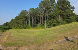 4451 Hwy 431 S, Eufaula, AL 36027