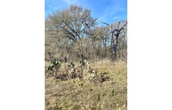County Road 123, Ledbetter, TX 78946